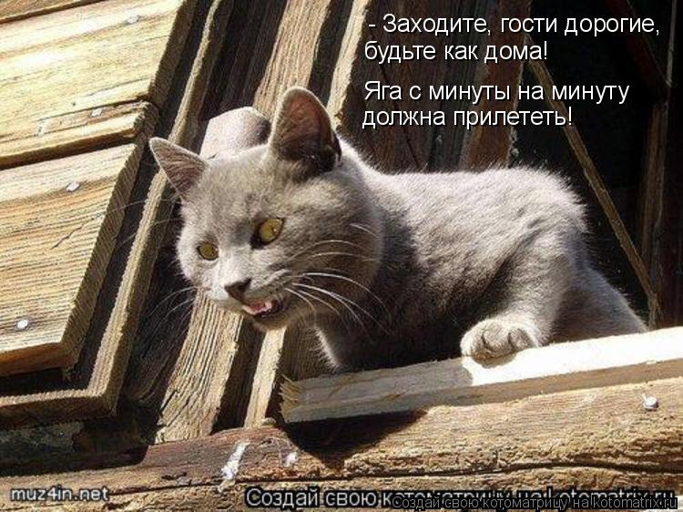 Котоматрица: - Заходите, гости дорогие, будьте как дома! Яга с минуты на минуту должна прилететь!