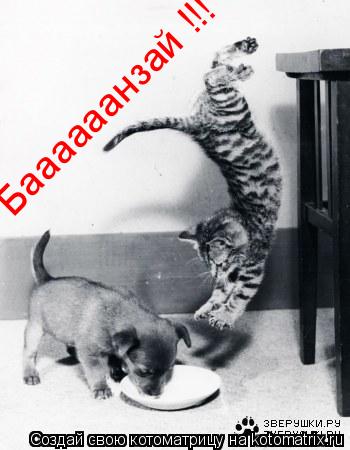 Котоматрица: Баааааанзай !!!