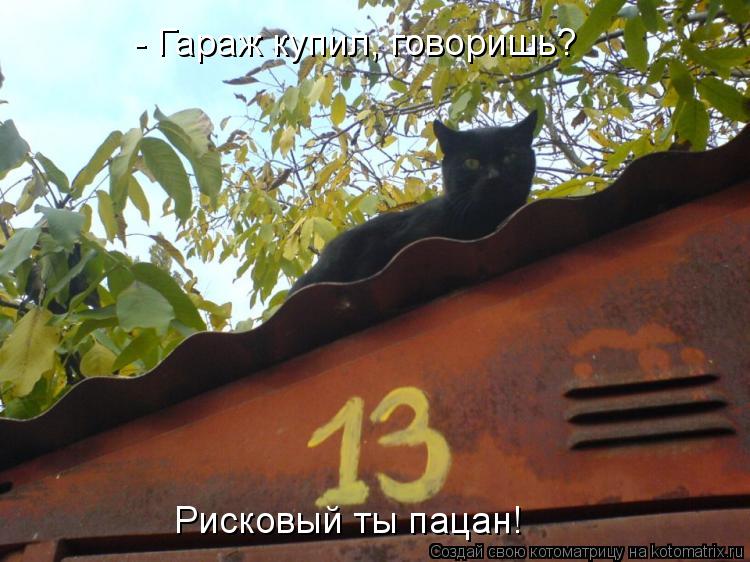 Котоматрица: - Гараж купил, говоришь? Рисковый ты пацан!