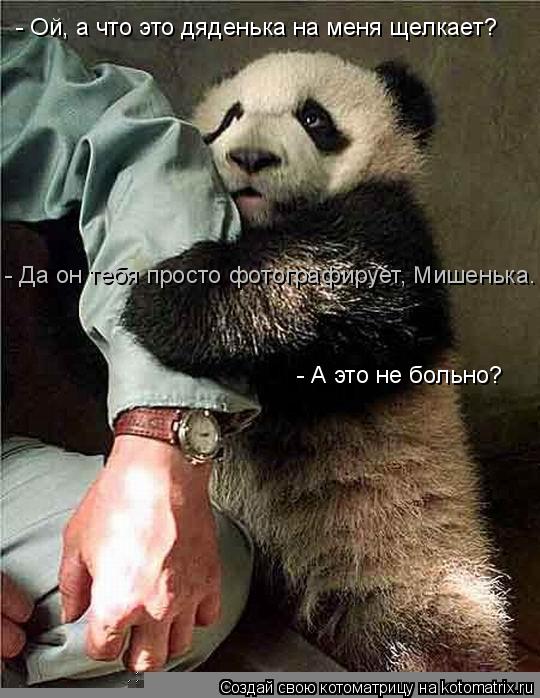 Котоматрица: - Ой, а что это дяденька на меня щелкает? - Да он тебя просто фотографирует, Мишенька. - А это не больно?