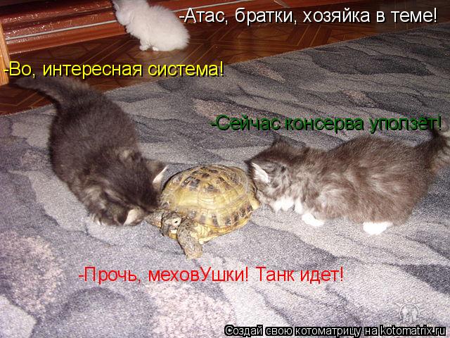 Котоматрица: -Атас, братки, хозяйка в теме! -Во, интересная система! -Сейчас консерва уползёт! -Прочь, меховУшки! Танк идет!