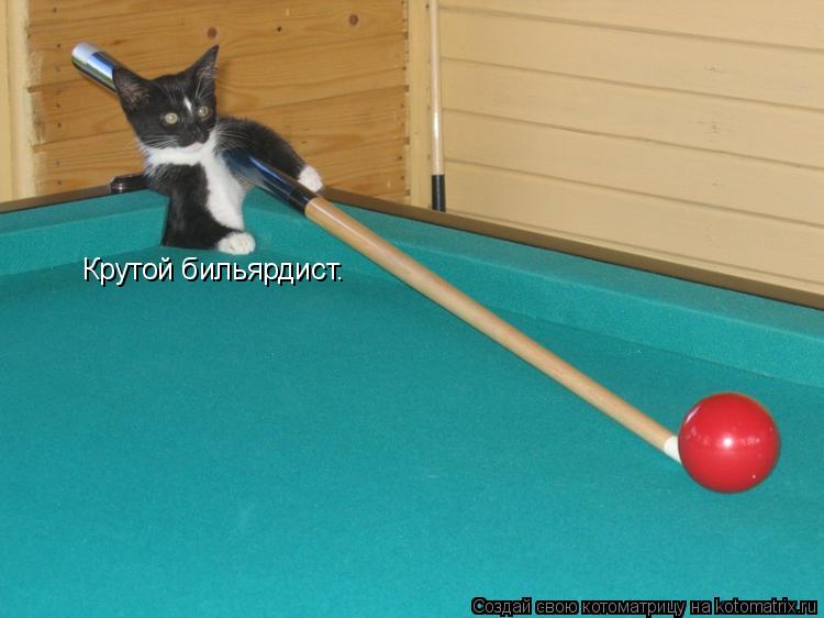 Котоматрица: Крутой бильярдист.