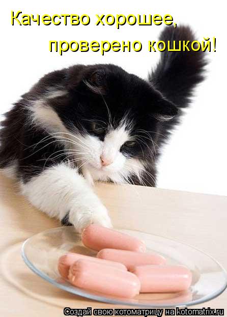 Котоматрица: Качество хорошее, проверено кошкой!