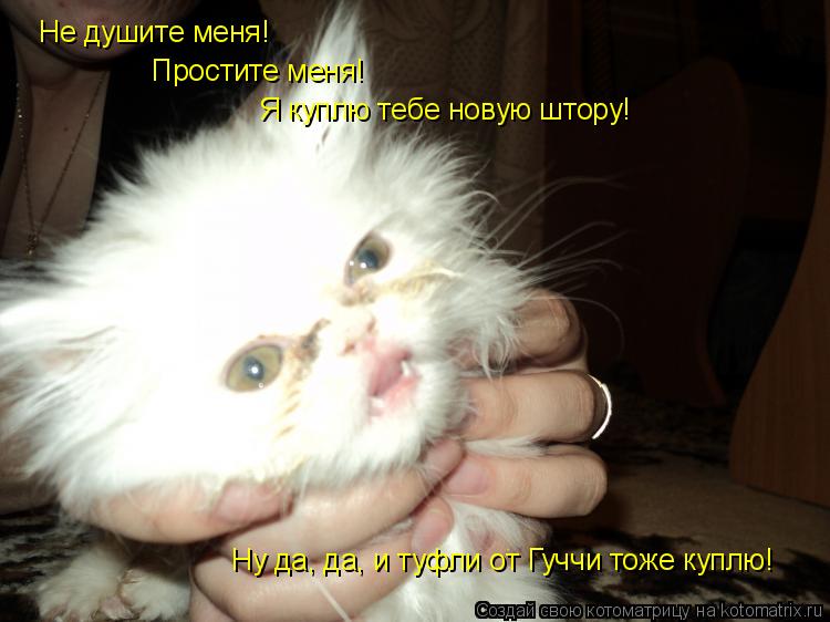 Котоматрица: Не душите меня! Простите меня! Я куплю тебе новую штору! Ну да, да, и туфли от Гуччи тоже куплю!