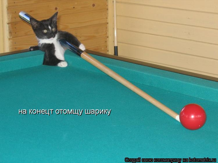Котоматрица: на конецт отомщу шарику