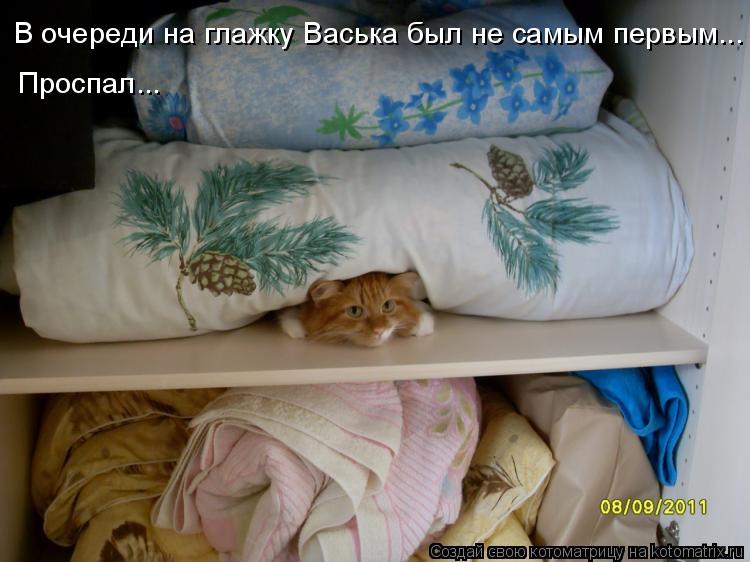 Котоматрица: В очереди на глажку Васька был не самым первым... Проспал...