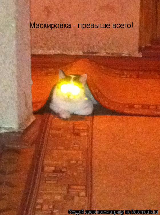 Котоматрица: Маскировка - превыше всего!