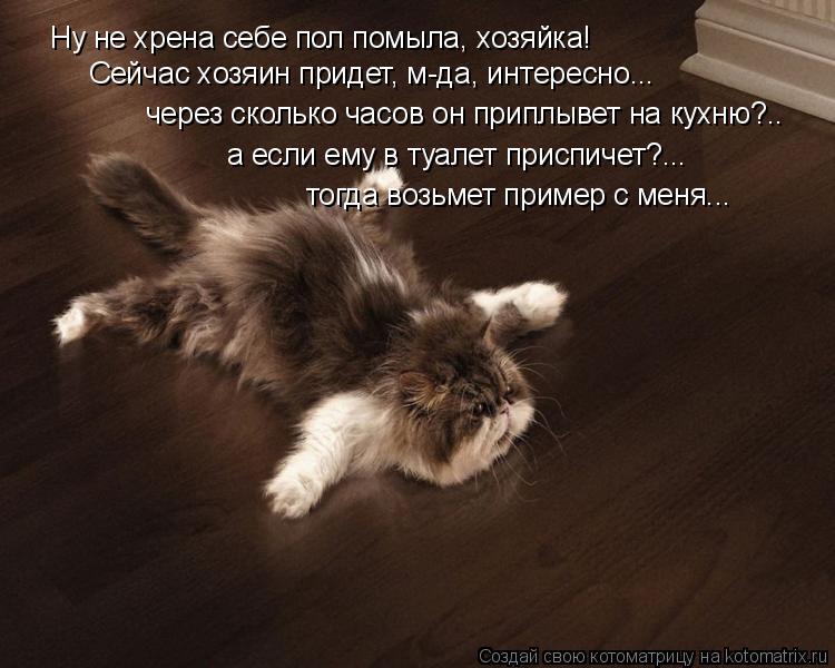 Котоматрица: Ну не хрена себе пол помыла, хозяйка! Сейчас хозяин придет, м-да, интересно... через сколько часов он приплывет на кухню?.. а если ему в туалет п