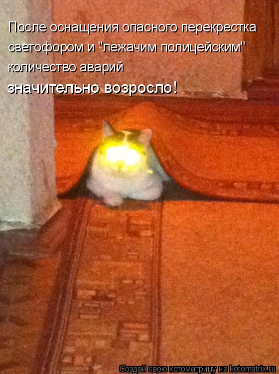 Котоматрица: После оснащения опасного перекрестка светофором и "лежачим полицейским" количество аварий значительно возросло!