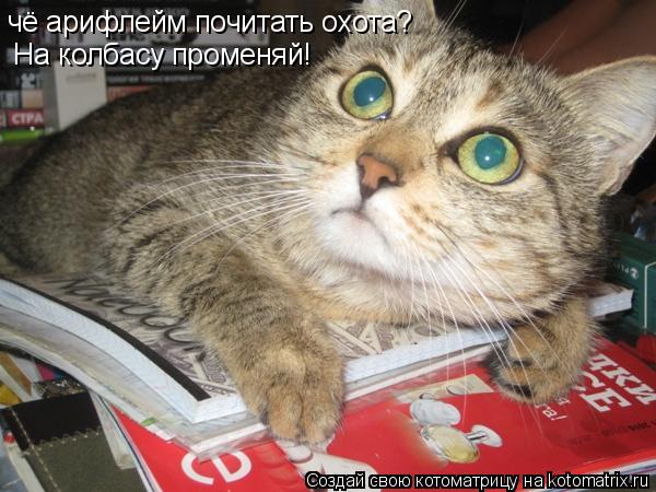Котоматрица: чё арифлейм почитать охота? На колбасу променяй!