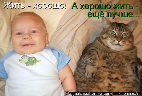 Котоматрица: Жить - хорошо! А хорошо жить - ещё лучше...