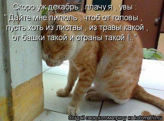 Котоматрица: Скоро уж декабрь , плачу я , увы : " Дайте мне пилюль , чтоб от головы , пусть хоть из листвы , из травы какой , от башки такой и страны такой !.."