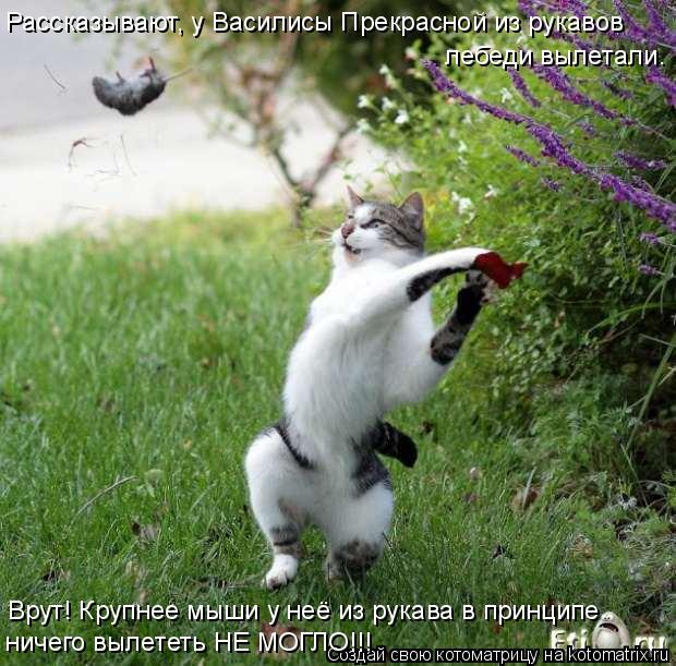 Рассказывают, у Василисы Прекрасной из рукавов лебеди вылетали. ничего вылететь НЕ МОГЛО!!! Врут! Кр... Котоматрица: Рассказывают, у Василисы Прекрасной из рукавов лебеди вылетали. ничего вылететь НЕ МОГЛО!!! Врут! Крупнее мыши у неё из рукава в принципе