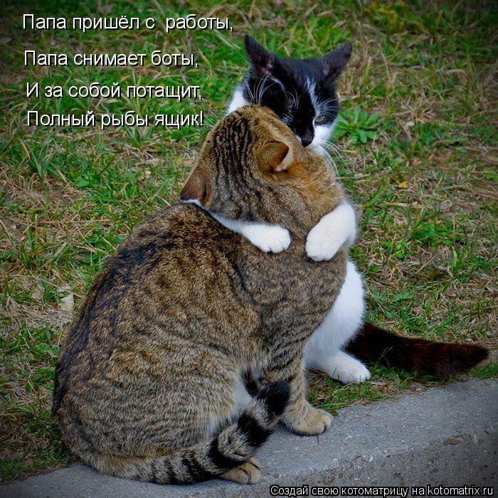 Котоматрица: Папа пришёл с  работы, Папа снимает боты, И за собой потащит, Полный рыбы ящик!