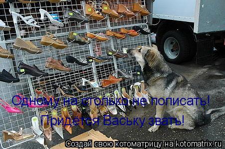 Котоматрица: Одному на столько не пописать! Придётся Ваську звать!