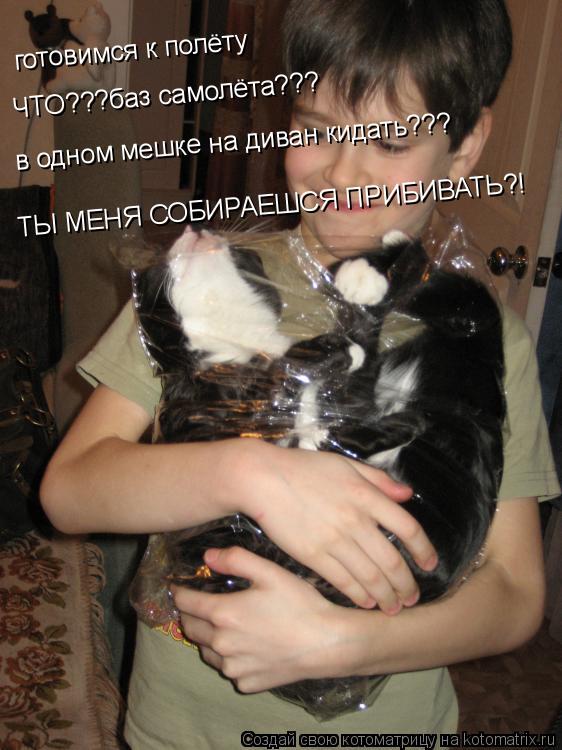 готовимся к полёту ЧТО???баз самолёта??? в одном мешке на диван кидать??? ТЫ МЕНЯ СОБИРАЕШСЯ ПРИБИВАТ... Котоматрица: готовимся к полёту ЧТО???баз самолёта??? в одном мешке на диван кидать??? ТЫ МЕНЯ СОБИРАЕШСЯ ПРИБИВАТЬ?!