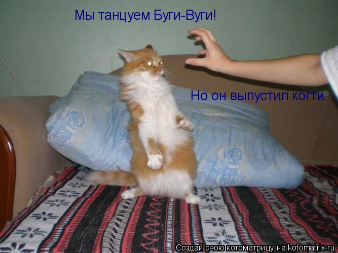 Мы танцуем Буги-Вуги! Но он выпустил когти.... Котоматрица: Мы танцуем Буги-Вуги! Но он выпустил когти.