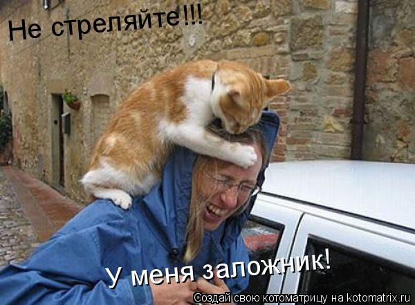 Не стреляйте!!! У меня заложник!... Котоматрица: Не стреляйте!!! У меня заложник!