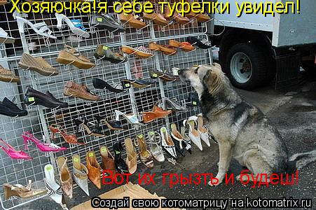 Хозяючка!я себе туфелки увидел! Вот их грызть и будеш!... Котоматрица: Хозяючка!я себе туфелки увидел! Вот их грызть и будеш!