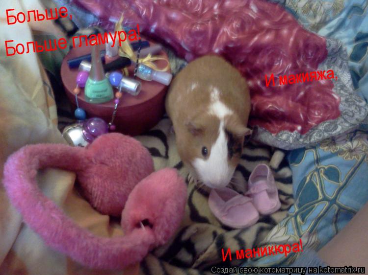 Больше, Больше гламура! И макияжа, И маникюра!... Котоматрица: Больше, Больше гламура! И макияжа, И маникюра!