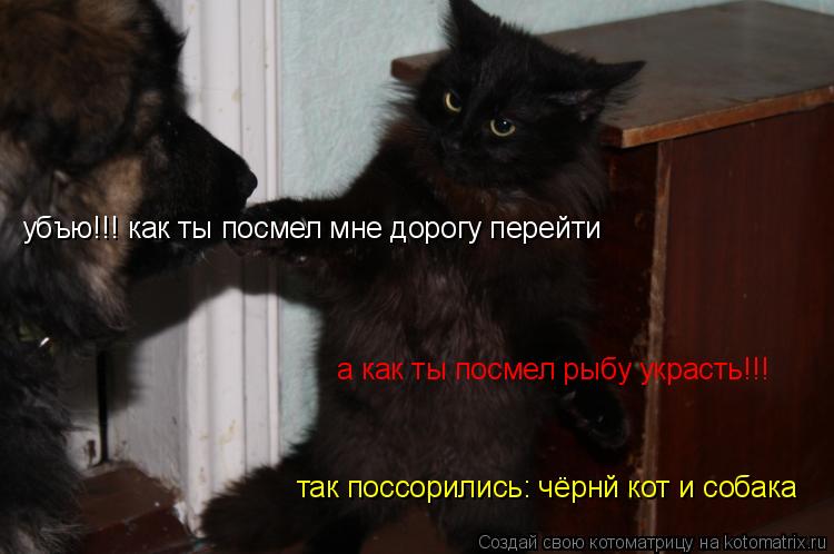 убъю!!! как ты посмелмне дорогу перешол1 убъю!!! как ты посмел мне дорогу перейти а как ты посмел рыб... Котоматрица: убъю!!! как ты посмелмне дорогу перешол1 убъю!!! как ты посмел мне дорогу перейти а как ты посмел рыбу украсть!!! так поссорились: чёрнй кот и со