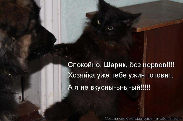 Спокойно, Шарик, без нервов!!!! Хозяйка уже тебе ужин готовит, А я не вкусны-ы-ы-ый!!!!!... Котоматрица: Спокойно, Шарик, без нервов!!!! Хозяйка уже тебе ужин готовит, А я не вкусны-ы-ы-ый!!!!!