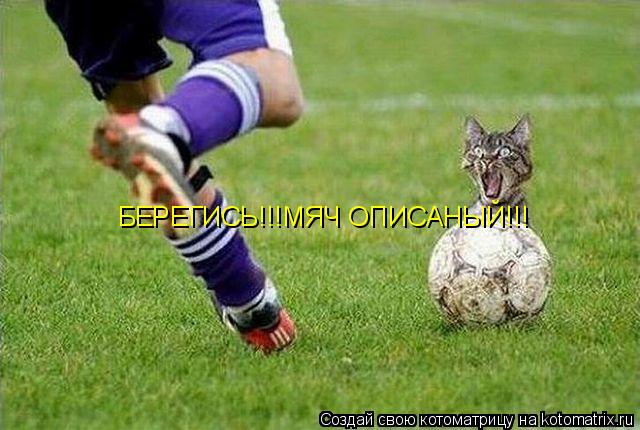 БЕРЕГИСЬ!!!МЯЧ ОПИСАНЫЙ!!!... Котоматрица: БЕРЕГИСЬ!!!МЯЧ ОПИСАНЫЙ!!!