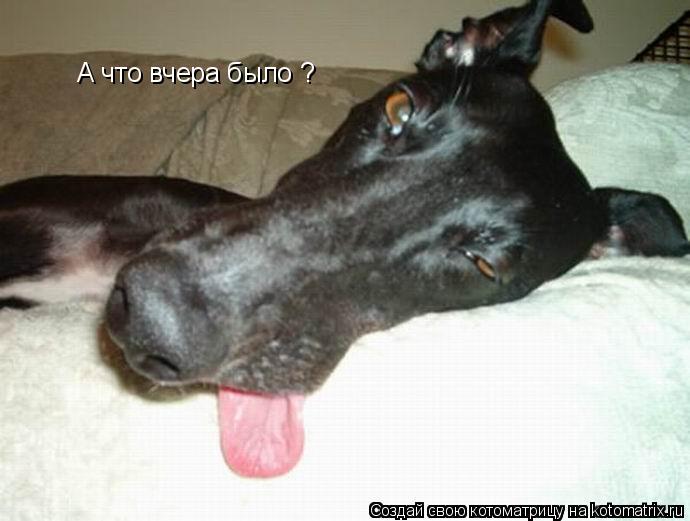 Котоматрица: А что вчера было ?