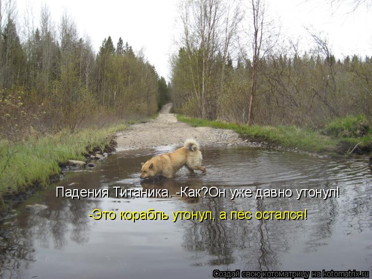 Котоматрица: Падения Титаника. -Как?Он уже давно утонул! -Это корабль утонул, а пёс остался!