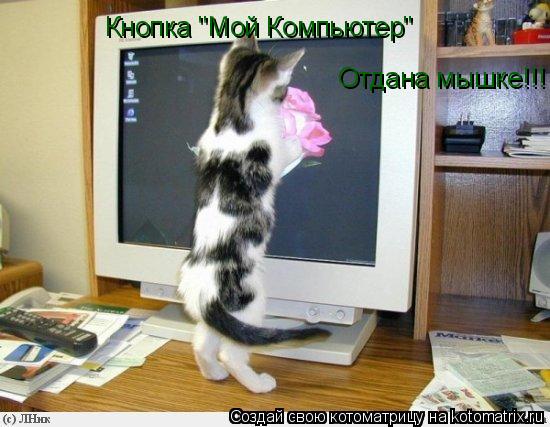 Котоматрица: Кнопка "Мой Компьютер" Отдана мышке!!!