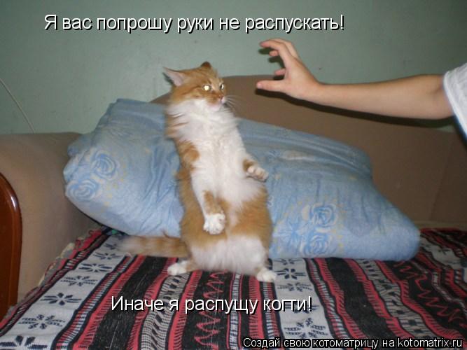 Котоматрица: Я вас попрошу руки не распускать! Иначе я распущу когти!
