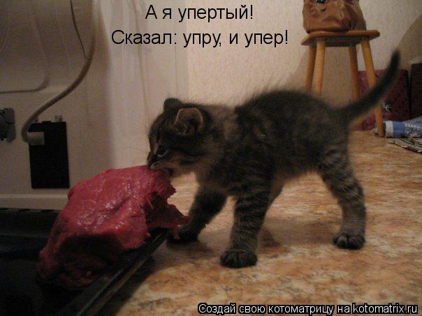 Котоматрица: Сказал: упру, и упер! А я упертый!