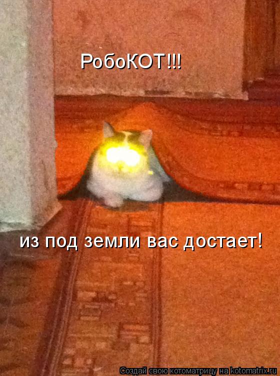 Котоматрица: РобоКОТ!!! из под земли вас достает!