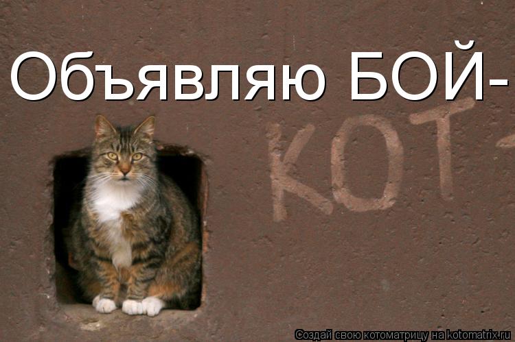 Котоматрица: Объявляю БОЙ-