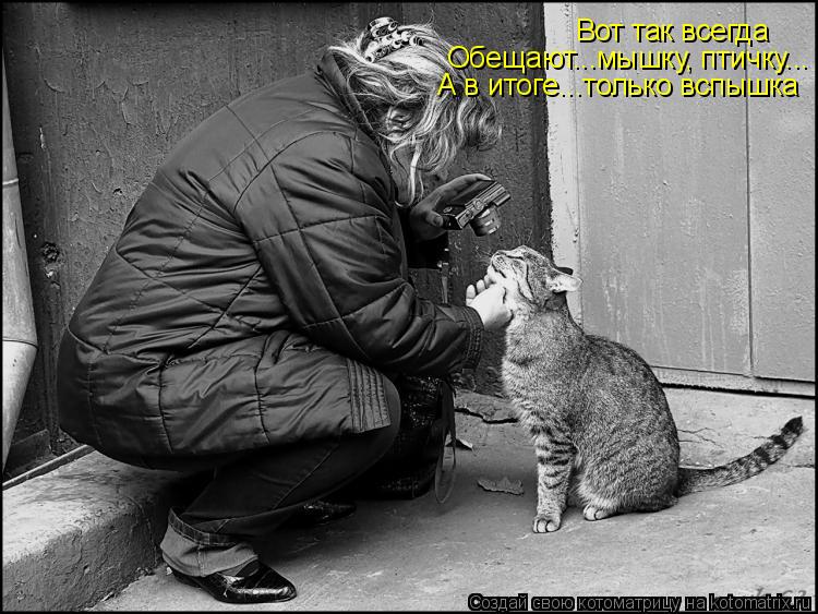Котоматрица: Вот так всегда Обещают...мышку, птичку... А в итоге...только вспышка