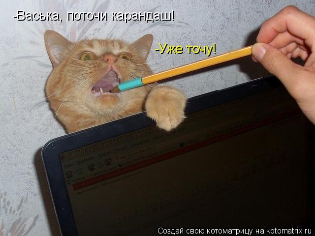 Котоматрица: -Васька, поточи карандаш! -Уже точу!