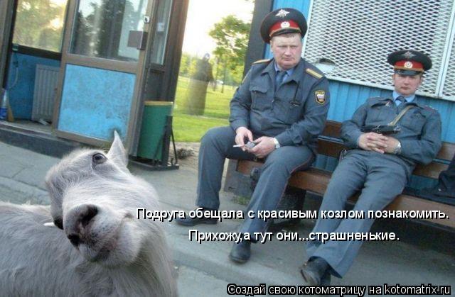 Котоматрица: Подруга обещала с красивым козлом познакомить. Прихожу,а тут они...страшненькие.