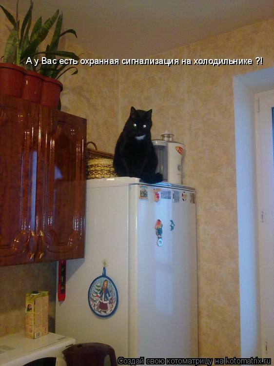 Котоматрица: А у Вас есть охранная сигнализация на холодильнике ?!