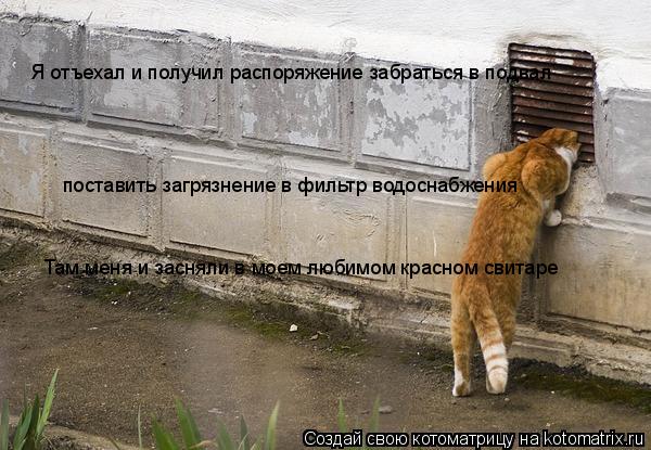 Там меня и засняли в моем любимом красном свитаре Я отъехал и получил распоряжение забраться в подвал... Котоматрица: Там меня и засняли в моем любимом красном свитаре Я отъехал и получил распоряжение забраться в подвал поставить загрязнение в фильтр водос
