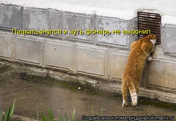 Котоматрица: Пацкальзнулся и чуть фонарь не выронил