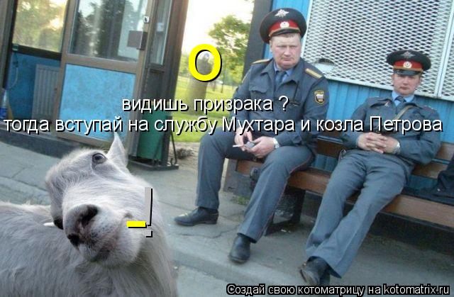 Котоматрица: - о видишь призрака ?  тогда вступай на службу Мухтара и козла Петрова !