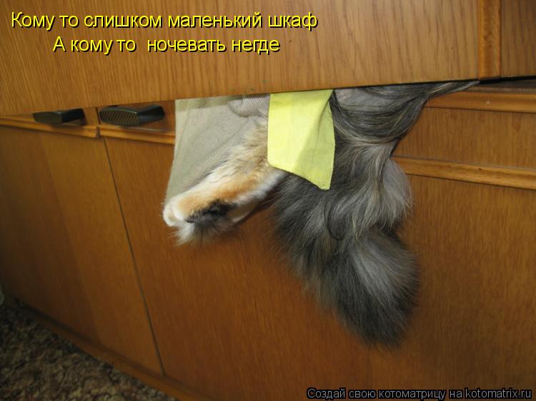 Котоматрица: Кому то слишком маленький шкаф А кому то  ночевать негде