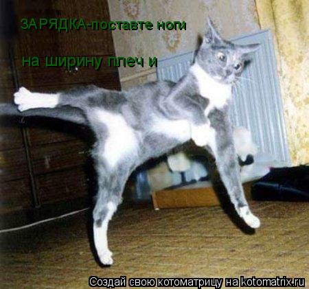Котоматрица: ЗАРЯДКА-поставте ноги  на ширину плеч и смотрите не упадите