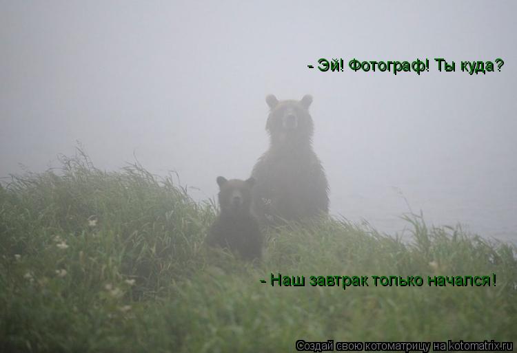 Котоматрица: - Эй! Фотограф! Ты куда? - Наш завтрак только начался!