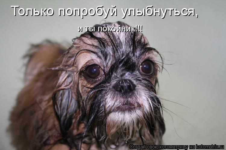 Котоматрица: Только попробуй улыбнуться, и ты покойник!!!