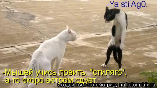 Котоматрица: -Ya stilAg0. а то скоро ветром сдует. -Мышей учись ловить, "стиляго",