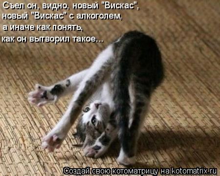 Котоматрица: Съел он, видно, новый "Вискас",  а иначе как понять, как он вытворил такое... новый "Вискас" с алкоголем,