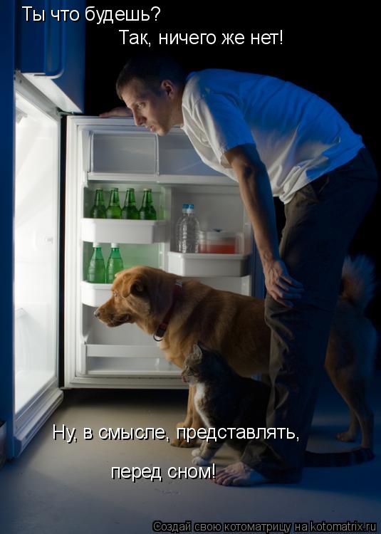 Котоматрица: Ты что будешь? Так, ничего же нет! Ну, в смысле, представлять,  перед сном!