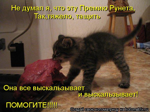 Котоматрица: Не думал я, что эту Премию Рунета, Так,тяжело, тащить Она все выскальзывает и выскальзывает! ПОМОГИТЕ!!!!!