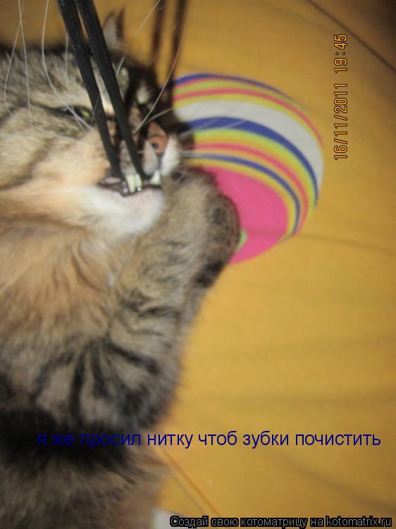 Котоматрица: я же просил нитку чтоб зубки почистить